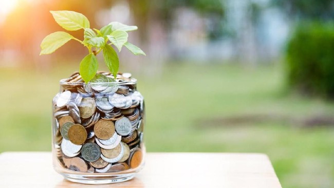 Foto: iStock Foto: iStock
