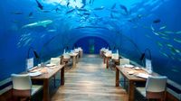 Satu-satunya di Dunia! Hotel Bawah Air Maldives Resmi Dibuka