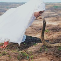 Foto pernikahannya jadi viral setelah diunggah oleh sang fotografer, Tako, di akun Twitternya. Pada postingannya itu, Tako menuturkan jika kliennya membuat serangkaian foto pernikahan yang ekstrem bersama dengan ular king kobra. Foto: Twitter @takoball_