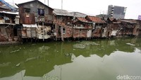 Saat angin bertiup, bau menyengat dari kali itu pun langsung terasa menusuk hidung. Duh,.... bau sampah nggak enak dan tak sedap dipandang mata nih.