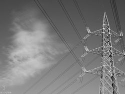 Menarik! Deretan Foto Dijepret dengan Angle dan Momen Pas