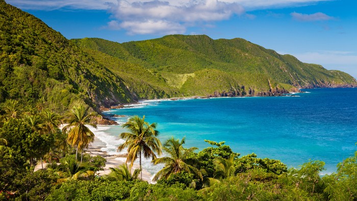panoramic view of Carambola Beach, St.Croix, US Virgin Islands