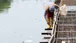 Pembangunan Turap Sungai Ciliwung Dikebut Siang Malam