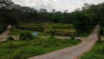 Foto: Boyolali Ternyata Punya Kebun Raya Cantik Lho!