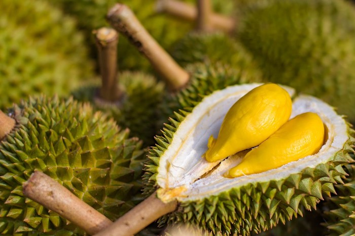 Foto: Istock Foto: Istock