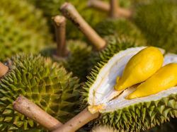 Gagal Terbang Gara-gara 3 Ton Duren dalam Pesawat, Begini Kisahnya!