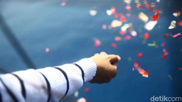 Momen keluarga korban Lion Air PK-LQP tabur bunga / 