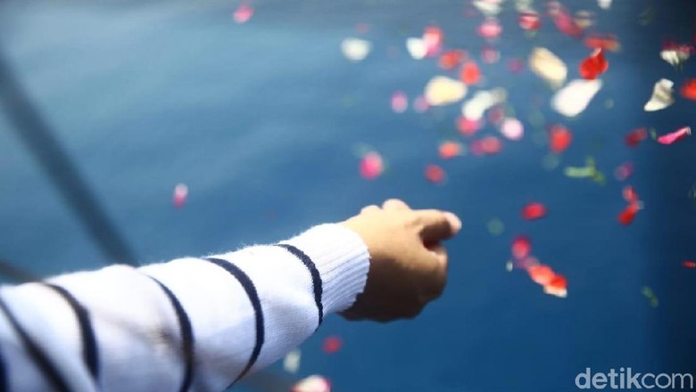 Operasi Tim DVI Ditutup, Total 125 Korban Lion Air Teridentifikasi Operasi Tim DVI Ditutup, Total 125 Korban Lion Air Teridentifikasi