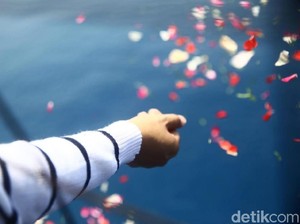 Sederet Temuan Evakuasi Lion Air Hasil Kerja Keras SAR Gabungan