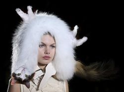 Kocak! Kombinasi Wajah Kucing dengan Tubuh Hewan Lain