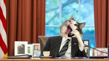 Bergaya seperti presiden AS. (Foto: Boredpanda)