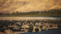 Gara-gara polusi, Danau Galilea harus mengalami penurunan tinggi permukaan air. Hal ini tercatat pada tahun 2004, pemukaan airnya turun sampai 6 meter. (Ronen Zvulun/Reuters)