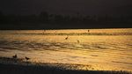Foto: Polusi di Danau Tempat Yesus Berjalan di Atas Air