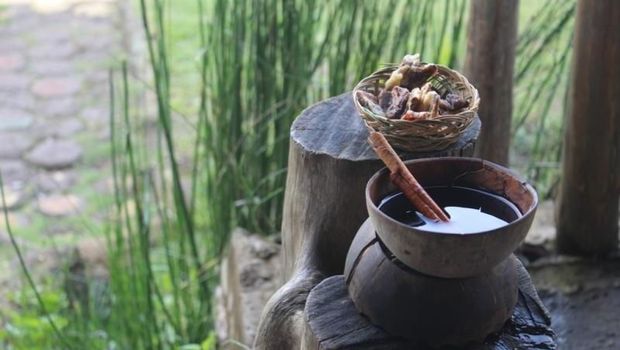 Kopi dari daun kopi
