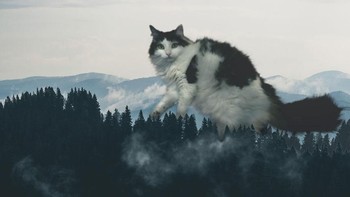 Penguasa hutan. (Foto: Boredpanda)