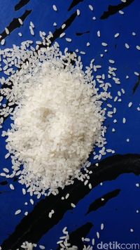 Beras Premium berwarna Lebih Cerah