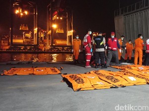 Hari Ke-11, Basarnas Bawa 8 Kantong Jenazah Korban Lion Air