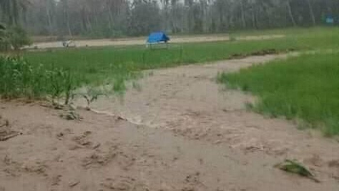 Mandailing Natal terendam banjir dan longsor (dok. BPBD Sumatera Utara)