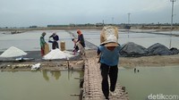 Petani lainya, Suparman, warga Desa Purworejo Kecamatan Kaliori, mengatakan, nantinya lahan tambak garam miliknya yang menganggur ketika musim penghujan rencananya akan dialih fungsikan menjadi lahan tambak bandeng.