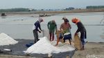 Mengintip Panen Terakhir Petani Garam di Rembang