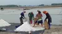 Salah seorang petani garam, Warsin warga Desa Tambakomben Kecamatan Kaliori menyebutkan, garam yang dijemur secara otomatis akan mencair dan rusak jika diguyur air hujan. Sehingga, saat musim penghujan tiba, para petani tidak akan bisa memproduksi garam.