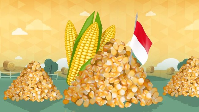 RI Masih Impor Jagung, Kok Malah Mau Ekspor?