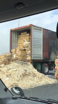 Ini Sebabnya Ribuan Box Sumpit Penuhi Jalan Tol di Tokyo