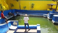 Di Taman Sare juga terdapat ikan-ikan berukuran besar. Namun pengunjung dilarang untuk memancing di sini (Hilda Meilisa Rinanda/detikTravel)