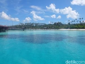 Pandemi di Maratua: Banyak Resort Tutup, Guide Balik Jadi Nelayan