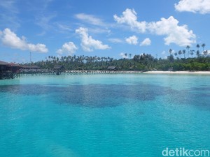 Pandemi di Maratua: Banyak Resort Tutup, Guide Balik Jadi Nelayan