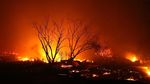 Ribuan Warga Dievakuasi Akibat Kebakaran Hebat di California
