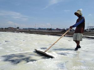 Pemerintah Siapkan 3 Lokasi Ladang Garam di Pulau Sumbawa