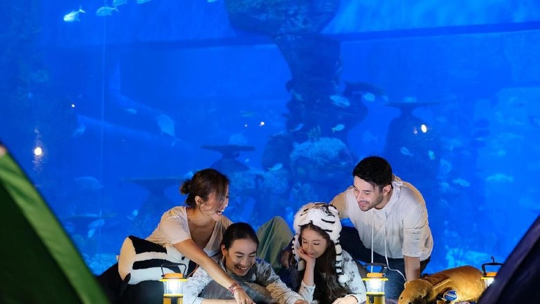 Foto: Jakarta Aquarium Foto: Jakarta Aquarium