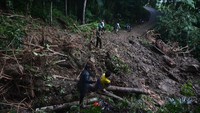 Tim gabungan tanggap bencana pun telah terjun langsung membersihkan material tanah longsor yang menutupi badan jalan utama Culamega, Kabupaten Tasikmalaya, Jawa Barat.