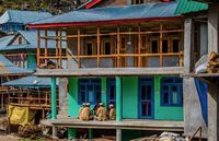 (Samantha Leigh Scholl/Alamy/BBC Travel)