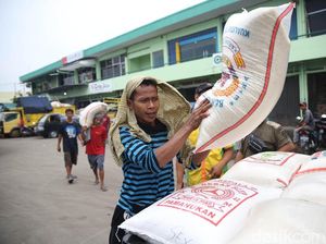 Mentan Lapor Darmin Stok Beras Ada 2,3 Juta Ton
