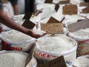 Produksi Beras Naik, tapi Harga di Penggilingan-Eceran Malah Terbang