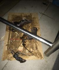 Jijik! Kantin di Universitas Malaysia Ini Kotor dan Dipenuhi Tikus