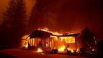 Ribuan Warga Dievakuasi Akibat Kebakaran Hebat di California