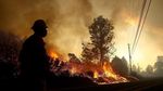 Ribuan Warga Dievakuasi Akibat Kebakaran Hebat di California