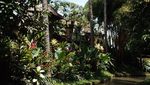 Seru! Momen Kulineran Tiara Pangestika di Bali hingga California