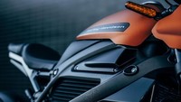Motor akan dijual tahun depan. Spesifikasi lebih lanjut akan diumumkan pada Januari 2019. Otolovers penasaran nggak? Foto: Josh Kurpius/LiveWire Harley-Davidson