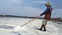 Misnal (55), salah satu petani garam di Surabaya mengaku harga garam di musim panen tahun ini merosot. 