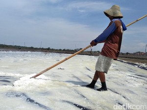 Garam di Era Impor