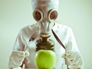 Ini Kasus Kejahatan dan Kematian yang Disebabkan Oleh Makanan