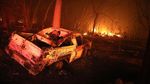Ribuan Warga Dievakuasi Akibat Kebakaran Hebat di California