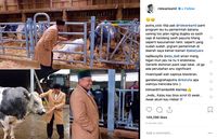 Milenial. Ridwan Kamil Ajak Kamu Bisnis Sapi di Jawa Barat