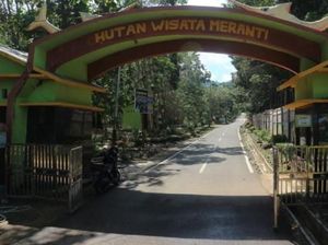 Nan Hijau-hijau dari Kotabaru