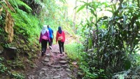 Dikarenakan banyaknya air terjun yang letaknya tersebar namun berdekatan itulah nama Curug Tujuh Cibolang diambil (Dadang Hermansyah/detikTravel)