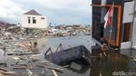 Sebulan Berlalu, Begini Kondisi Balaroa yang Kena Likuifaksi